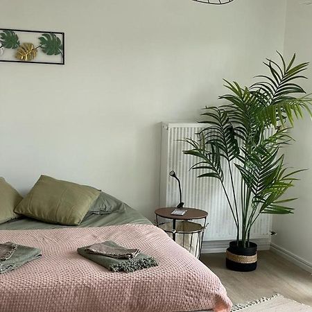 Studio T A 5Mn Euro Airport Avec Terrasse Сен-Луи Екстериор снимка