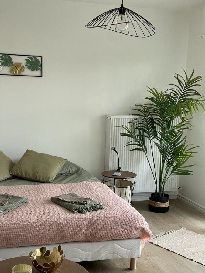 Studio T A 5Mn Euro Airport Avec Terrasse Сен-Луи Екстериор снимка