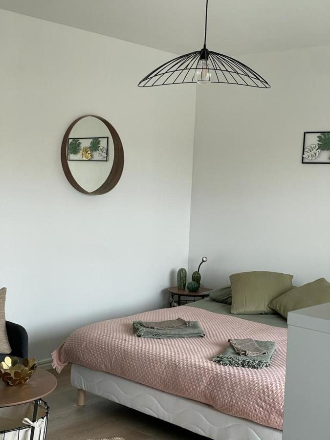 Studio T A 5Mn Euro Airport Avec Terrasse Сен-Луи Екстериор снимка
