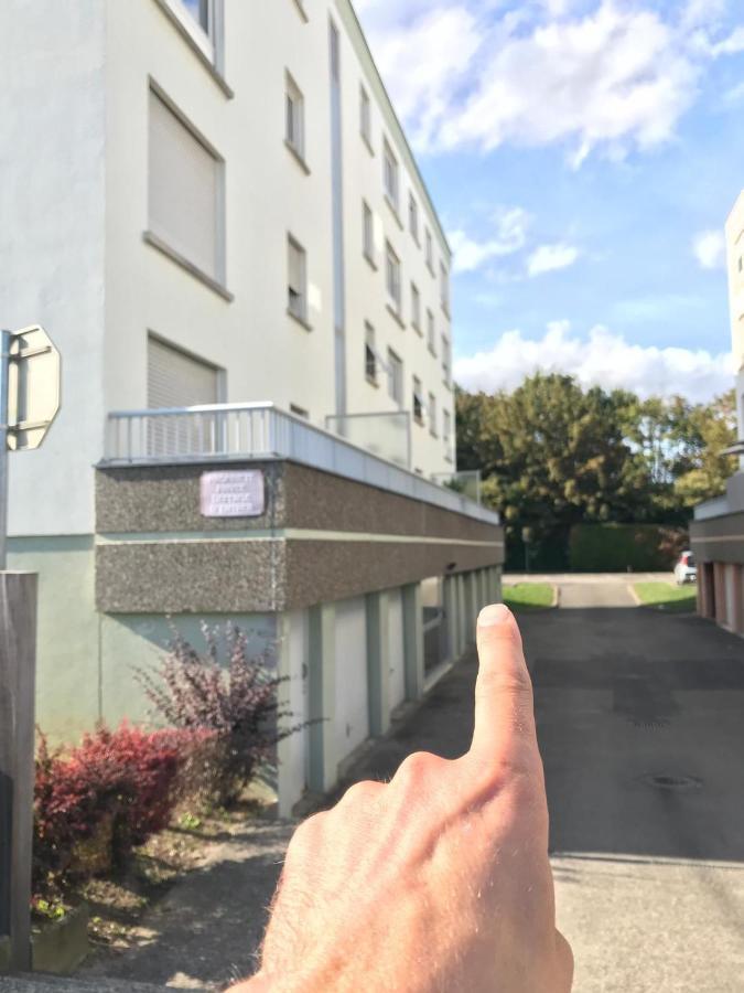 Studio T A 5Mn Euro Airport Avec Terrasse Сен-Луи Екстериор снимка
